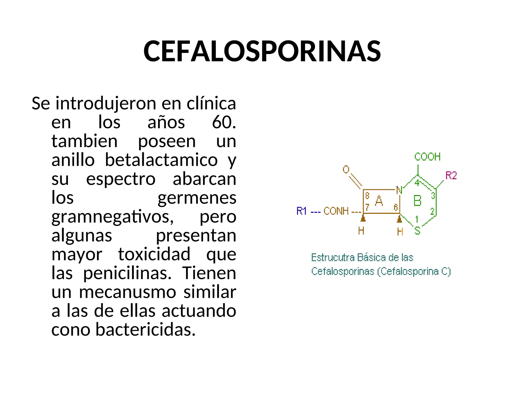 CEFALOSPORINAS
Se introdujeron en clínica
en los años 60.
tambien poseen un
anillo betalactamico y
su espectro abarcan
los germenes
gramnegativos, pero
algunas presentan
mayor toxicidad que
las penicilinas. Tienen
un mecanusmo similar
a las de ellas actuando
cono bactericidas.
 
