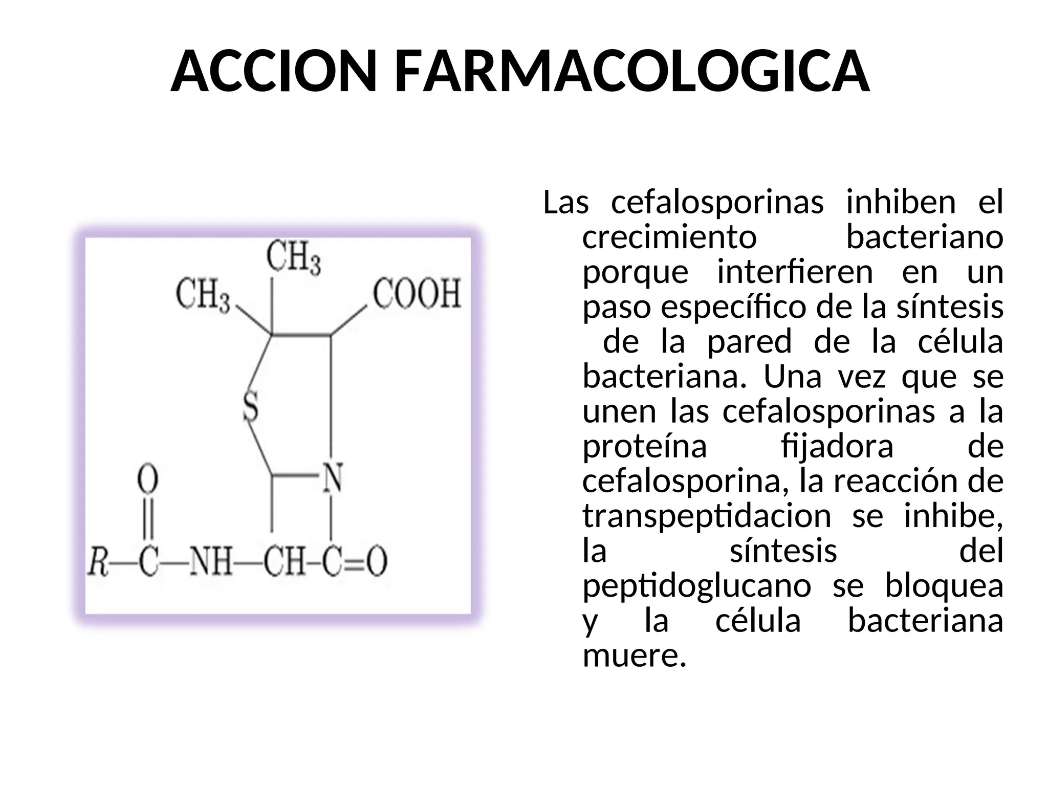 ACCION FARMACOLOGICA
Las cefalosporinas inhiben el
crecimiento bacteriano
porque interfieren en un
paso específico de la síntesis
de la pared de la célula
bacteriana. Una vez que se
unen las cefalosporinas a la
proteína fijadora de
cefalosporina, la reacción de
transpeptidacion se inhibe,
la síntesis del
peptidoglucano se bloquea
y la célula bacteriana
muere.
 