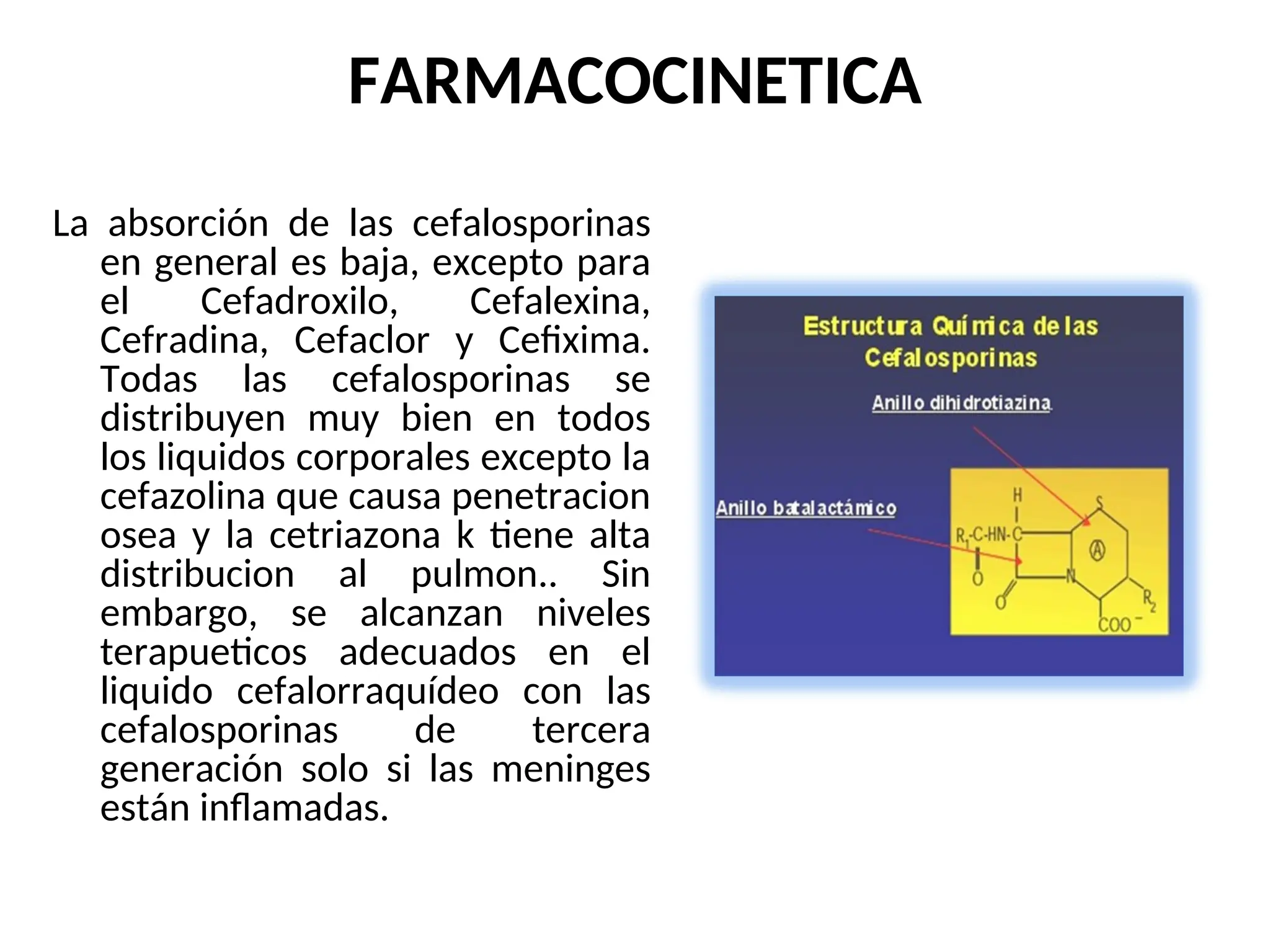 FARMACOCINETICA
La absorción de las cefalosporinas
en general es baja, excepto para
el Cefadroxilo, Cefalexina,
Cefradina, Cefaclor y Cefixima.
Todas las cefalosporinas se
distribuyen muy bien en todos
los liquidos corporales excepto la
cefazolina que causa penetracion
osea y la cetriazona k tiene alta
distribucion al pulmon.. Sin
embargo, se alcanzan niveles
terapueticos adecuados en el
liquido cefalorraquídeo con las
cefalosporinas de tercera
generación solo si las meninges
están inflamadas.
 