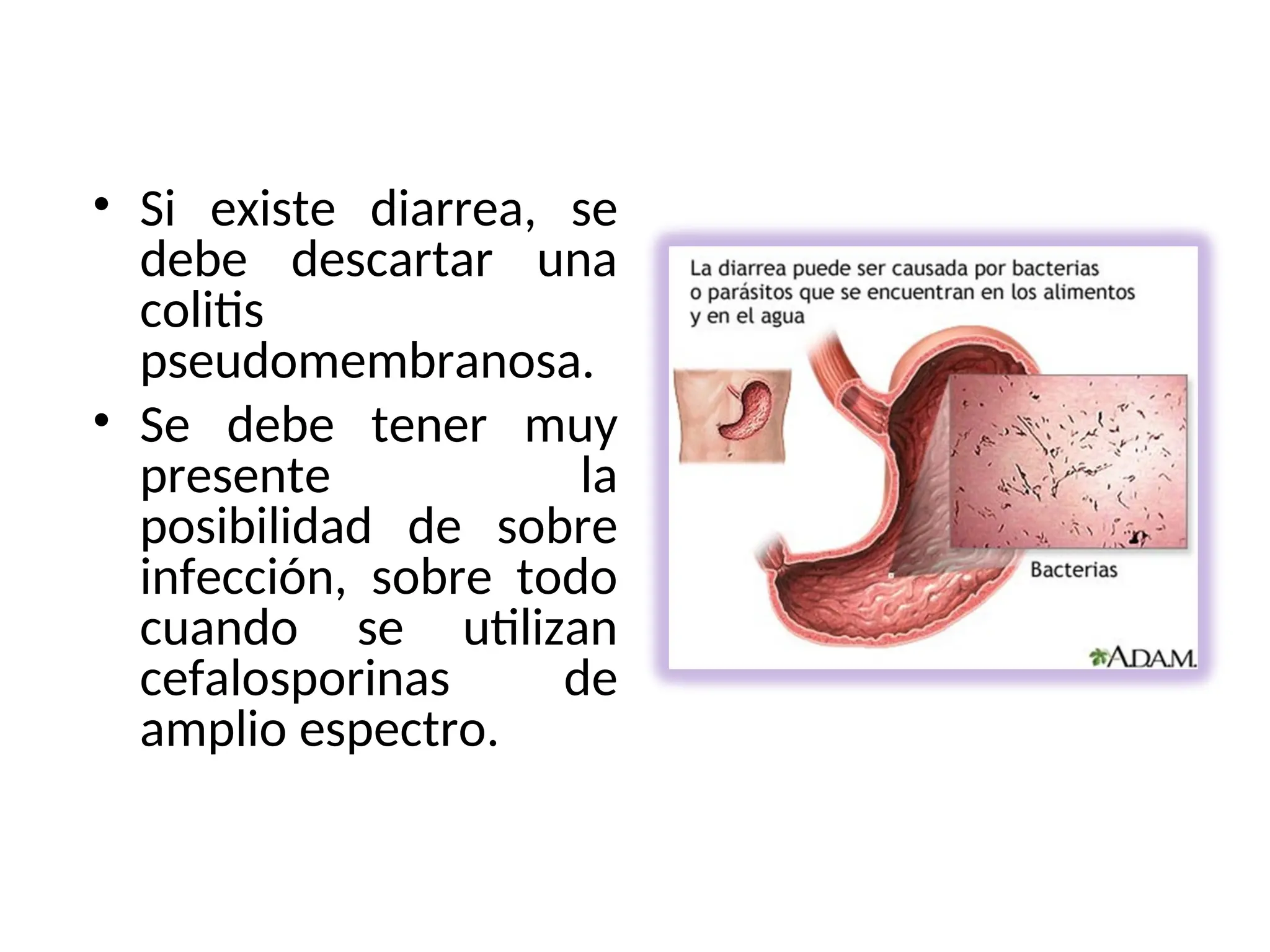 • Si existe diarrea, se
debe descartar una
colitis
pseudomembranosa.
• Se debe tener muy
presente la
posibilidad de sobre
infección, sobre todo
cuando se utilizan
cefalosporinas de
amplio espectro.
 