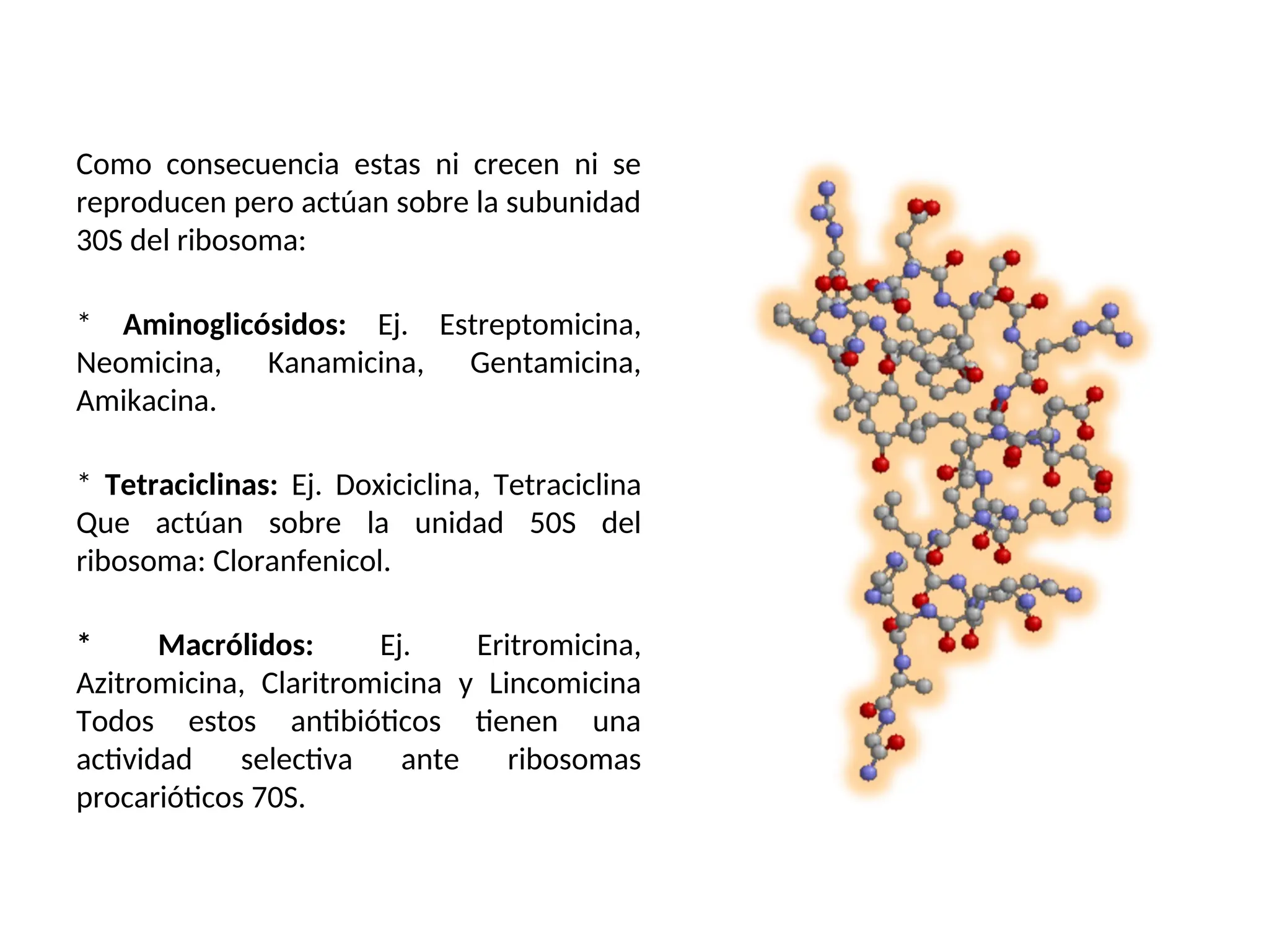 Como consecuencia estas ni crecen ni se
reproducen pero actúan sobre la subunidad
30S del ribosoma:
* Aminoglicósidos: Ej. Estreptomicina,
Neomicina, Kanamicina, Gentamicina,
Amikacina.
* Tetraciclinas: Ej. Doxiciclina, Tetraciclina
Que actúan sobre la unidad 50S del
ribosoma: Cloranfenicol.
* Macrólidos: Ej. Eritromicina,
Azitromicina, Claritromicina y Lincomicina
Todos estos antibióticos tienen una
actividad selectiva ante ribosomas
procarióticos 70S.
 