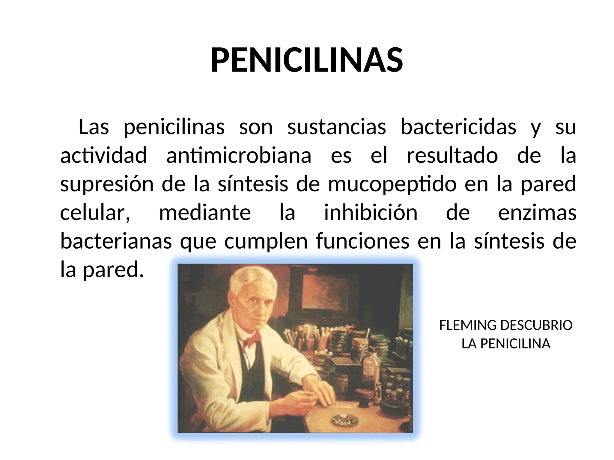 PENICILINAS
Las penicilinas son sustancias bactericidas y su
actividad antimicrobiana es el resultado de la
supresión de la síntesis de mucopeptido en la pared
celular, mediante la inhibición de enzimas
bacterianas que cumplen funciones en la síntesis de
la pared.
FLEMING DESCUBRIO
LA PENICILINA
 