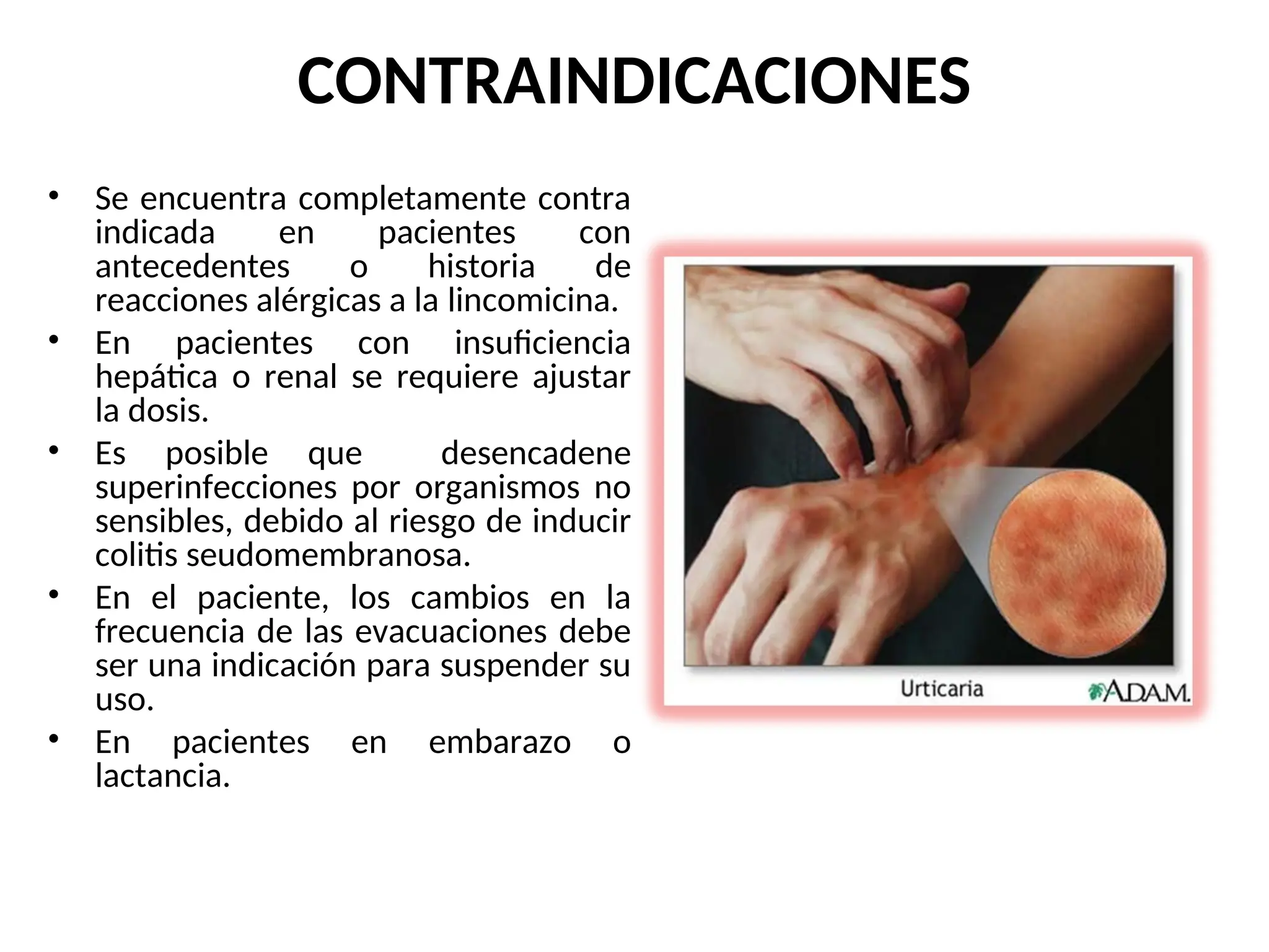 CONTRAINDICACIONES
• Se encuentra completamente contra­
indicada en pacientes con
antecedentes o historia de
reacciones alérgicas a la ­
lincomicina.
• En pacientes con insuficiencia
hepática o renal se requiere ajustar
la dosis.
• Es posible que desencadene
superinfecciones por organismos no
sensibles, debido al riesgo de inducir
colitis seudomembranosa.
• En el paciente, los cambios en la
frecuencia de las evacuaciones debe
ser una indicación para suspender su
uso.
• En pacientes en embarazo o
lactancia.
 