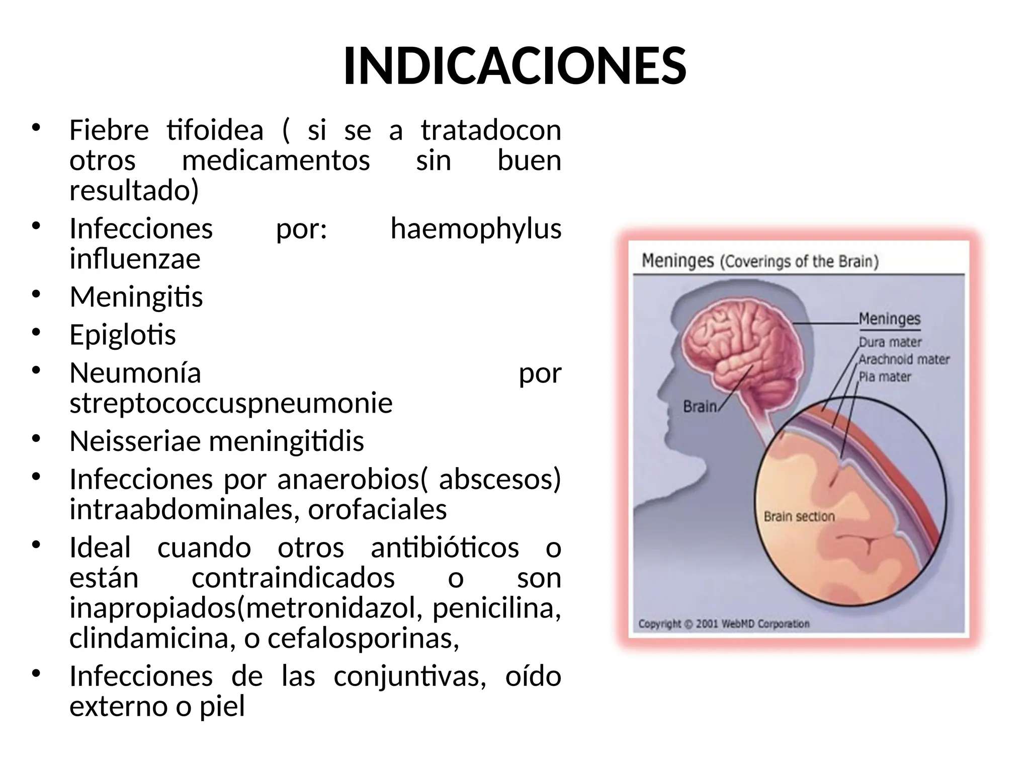 INDICACIONES
• Fiebre tifoidea ( si se a tratadocon
otros medicamentos sin buen
resultado)
• Infecciones por: haemophylus
influenzae
• Meningitis
• Epiglotis
• Neumonía por
streptococcuspneumonie
• Neisseriae meningitidis
• Infecciones por anaerobios( abscesos)
intraabdominales, orofaciales
• Ideal cuando otros antibióticos o
están contraindicados o son
inapropiados(metronidazol, penicilina,
clindamicina, o cefalosporinas,
• Infecciones de las conjuntivas, oído
externo o piel
 