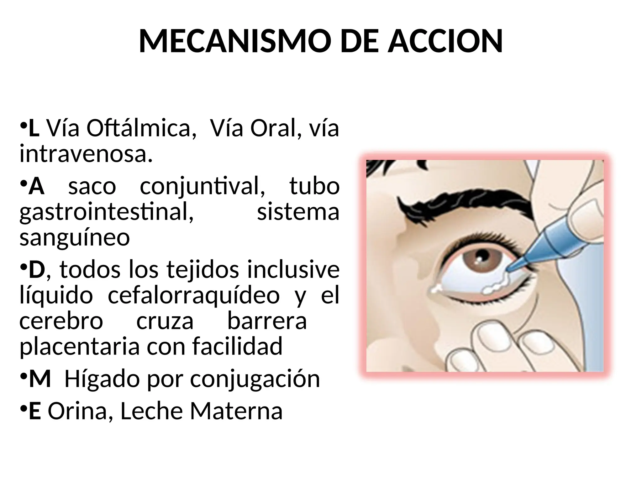 MECANISMO DE ACCION
•L Vía Oftálmica, Vía Oral, vía
intravenosa.
•A saco conjuntival, tubo
gastrointestinal, sistema
sanguíneo
•D, todos los tejidos inclusive
líquido cefalorraquídeo y el
cerebro cruza barrera
placentaria con facilidad
•M Hígado por conjugación
•E Orina, Leche Materna
 
