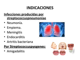 INDICACIONES
Infecciones producidas por
  streptococcuspneumoniae
• Neumonía.
• Empiema.
• Meningitis
• Endocarditis
• Artritis bacteriana
Por Streptococcuspyogenes:
• Amigadalitis
 
