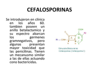 CEFALOSPORINAS
Se introdujeron en clínica
  en los años 60.
  tambien poseen un
  anillo betalactamico y
  su espectro abarcan
  los           germenes
  gramnegativos, pero
  algunas       presentan
  mayor toxicidad que
  las penicilinas. Tienen
  un mecanusmo similar
  a las de ellas actuando
  cono bactericidas.
 