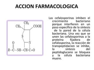 ACCION FARMACOLOGICA
          Las cefalosporinas inhiben el
            crecimiento        bacteriano
            porque interfieren en un
            paso específico de la síntesis
              de la pared de la célula
            bacteriana. Una vez que se
            unen las cefalosporinas a la
            proteína      fijadora     de
            cefalosporina, la reacción de
            transpeptidacion se inhibe,
            la        síntesis         del
            peptidoglucano se bloquea
            y la célula bacteriana
            muere.
 