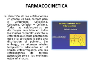 FARMACOCINETICA
La absorción de las cefalosporinas
   en general es baja, excepto para
   el     Cefadroxilo,    Cefalexina,
   Cefradina, Cefaclor y Cefixima.
   Todas las cefalosporinas se
   distribuyen muy bien en todos
   los liquidos corporales excepto la
   cefazolina que causa penetracion
   osea y la cetriazona k tiene alta
   distribucion al pulmon.. Sin
   embargo, se alcanzan niveles
   terapueticos adecuados en el
   liquido cefalorraquídeo con las
   cefalosporinas      de     tercera
   generación solo si las meninges
   están inflamadas.
 