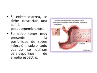 • Si existe diarrea, se
  debe descartar una
  colitis
  pseudomembranosa.
• Se debe tener muy
  presente            la
  posibilidad de sobre
  infección, sobre todo
  cuando se utilizan
  cefalosporinas     de
  amplio espectro.
 