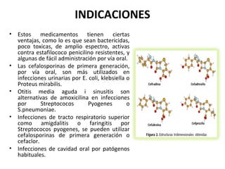 INDICACIONES
•   Estos medicamentos tienen ciertas
    ventajas, como lo es que sean bactericidas,
    poco toxicas, de amplio espectro, activas
    contra estafilococo penicilino resistentes, y
    algunas de fácil administración por vía oral.
•   Las cefalosporinas de primera generación,
    por vía oral, son más utilizados en
    infecciones urinarias por E. coli, klebsiella o
    Proteus mirabilis.
•   Otitis media aguda i sinusitis son
    alternativas de amoxicilina en infecciones
    por       Streptococos      Pyogenes          o
    S.pneumoniae.
•   Infecciones de tracto respiratorio superior
    como amigdalitis o faringitis por
    Streptococos pyogenes, se pueden utilizar
    cefalosporinas de primera generación o
    cefaclor.
•   Infecciones de cavidad oral por patógenos
    habituales.
 