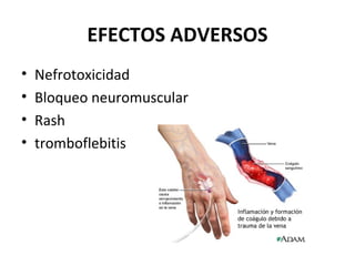 EFECTOS ADVERSOS
•   Nefrotoxicidad
•   Bloqueo neuromuscular
•   Rash
•   tromboflebitis
 