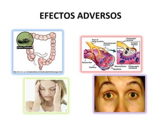 EFECTOS ADVERSOS
 