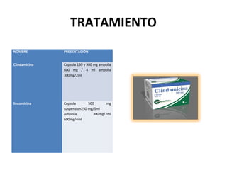 TRATAMIENTO
NOMBRE         PRESENTACIÓN


Clindamicina   Capsula 150 y 300 mg ampolla
               600 mg / 4 ml ampolla
               300mg/2ml




lincomicina    Capsula       500       mg
               suspension250 mg/5ml
               Ampolla          300mg/2ml
               600mg/4ml
 