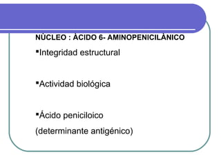 NÙCLEO : ÀCIDO 6- AMINOPENICILÀNICO
Integridad estructural
Actividad biológica
Ácido peniciloico
(determinante antigénico)
 