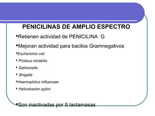 PENICILINAS DE AMPLIO ESPECTRO
Retienen actividad de PENICILINA G
Mejoran actividad para bacilos Gramnegativos
Escherichia coli
 Proteus mirabilis
 Salmonella
 Shigella
Haemophilus influenzae
 Helicobacter pylori
Son inactivadas por ß lactamasas
 