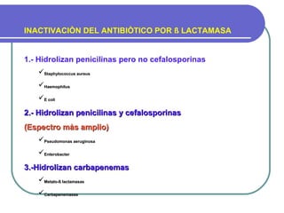 INACTIVACIÒN DEL ANTIBIÒTICO POR ß LACTAMASA
1.- Hidrolizan penicilinas pero no cefalosporinas
Staphylococcus aureusStaphylococcus aureus
HaemophilusHaemophilus
E coliE coli
2.- Hidrolizan penicilinas y cefalosporinas2.- Hidrolizan penicilinas y cefalosporinas
(Espectro màs amplio)(Espectro màs amplio)
Pseudomonas aeruginosaPseudomonas aeruginosa
EnterobacterEnterobacter
3.-Hidrolizan carbapenemas3.-Hidrolizan carbapenemas
Metalo-ß lactamasasMetalo-ß lactamasas
CarbapenemasasCarbapenemasas
 