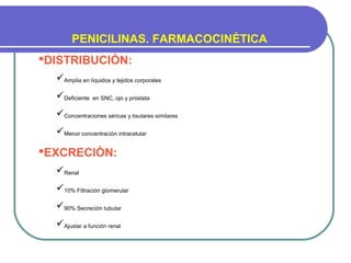 PENICILINAS. FARMACOCINÈTICA
DISTRIBUCIÒN:
Amplia en líquidos y tejidos corporales
Deficiente en SNC, ojo y próstata
Concentraciones sèricas y tisulares similares
Menor concentraciòn intracelular
EXCRECIÒN:
Renal
10% Filtración glomerular
90% Secreción tubular
Ajustar a función renal
 