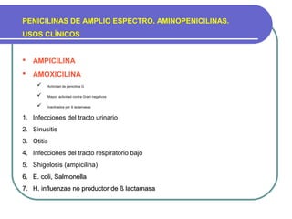 PENICILINAS DE AMPLIO ESPECTRO. AMINOPENICILINAS.
USOS CLÌNICOS
 AMPICILINA
 AMOXICILINA
 Actividad de penicilina G
 Mayor actividad contra Gram negativos
 Inactivados por ß lactamasas
1. Infecciones del tracto urinario
2. Sinusitis
3. Otitis
4. Infecciones del tracto respiratorio bajo
5. Shigelosis (ampicilina)
6.6. E. coli, SalmonellaE. coli, Salmonella
7.7. H. influenzae no productor deH. influenzae no productor de ß lactamasaß lactamasa
 