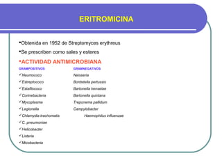 ERITROMICINA
Obtenida en 1952 de Streptomyces erythreus
Se prescriben como sales y esteres
ACTIVIDAD ANTIMICROBIANA
GRAMPOSITIVOS GRAMNEGATIVOS
Neumococo Neisseria
Estreptococo Bordetella pertussis
Estafilococo Bartonella henselae
Corinebacteria Bartonella quintana
Mycoplasma Treponema pallidum
Legionella Campylobacter
Chlamydia trachomatis Haemophilus influenzae
C. pneumoniae
Helicobacter
Listeria
Micobacteria
 