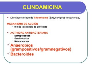 CLINDAMICINA
 Derivado clorado de lincomicina (Streptomyces lincolnensis)
MECANISMO DE ACCIÒN
 Inhibe la síntesis de proteínas
 ACTIVIDAD ANTIBACTERIANA
 Estreptococos
 Estafilococos
 Neumococos
 Anaerobios
(grampositivos/gramnegativos)
 Bacteroides
 