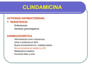 CLINDAMICINA
ACTIVIDAD ANTIBACTERIANA
 RESISTENCIA
 Enterococos
 Aerobios gramnegativos
FARMACOCINÈTICA
 Administración oral e intravenosa
 Unión a proteínas en 90%
 Buena concentración en múltiples tejidos
 No se concentra en cerebro y LCR
 Metabolismo hepàtico
 Excreciòn biliar y orina
 