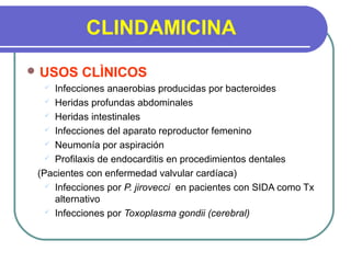 CLINDAMICINA
 USOS CLÌNICOS
 Infecciones anaerobias producidas por bacteroides
 Heridas profundas abdominales
 Heridas intestinales
 Infecciones del aparato reproductor femenino
 Neumonía por aspiración
 Profilaxis de endocarditis en procedimientos dentales
(Pacientes con enfermedad valvular cardíaca)
 Infecciones por P. jirovecci en pacientes con SIDA como Tx
alternativo
 Infecciones por Toxoplasma gondii (cerebral)
 