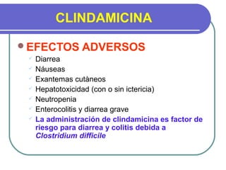 CLINDAMICINA
EFECTOS ADVERSOS
 Diarrea
 Náuseas
 Exantemas cutàneos
 Hepatotoxicidad (con o sin ictericia)
 Neutropenia
 Enterocolitis y diarrea grave
 La administración de clindamicina es factor de
riesgo para diarrea y colitis debida a
Clostridium difficile
 