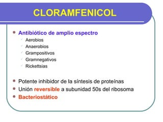 CLORAMFENICOL
 Antibiótico de amplio espectro
 Aerobios
 Anaerobios
 Grampositivos
 Gramnegativos
 Rickettsias
 Potente inhibidor de la síntesis de proteínas
 Unión reversible a subunidad 50s del ribosoma
 Bacteriostático
 