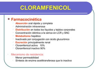 CLORAMFENICOL
 Farmacocinética
 Absorción oral rápida y completa
 Administraciòn intravenosa
 Distribución en todos los líquidos y tejidos corporales
 Concentración idéntica a la sèrica en LCR y SNC
 Metabolismo hepàtico
 Inactivado por conjugación con ácido glucurònico
 Excreción principalmente renal
 Cloramfenicol activo 10%
 Cloramfenicol inactivo 90%
• Mecanismo de resistencia:
• Menor permeabilidad
• Síntesis de enzima acetiltransferasa que lo inactiva
 