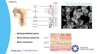 #FSFB_Edu www.fsfb.edu.co
• Biodisponibilidad optima
• Menor efectos sistémicos
• Menor resistencia
Anatomía
 