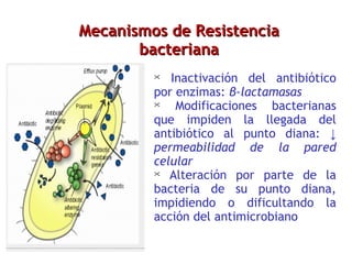 Mecanismos de Resistencia bacteriana Inactivación del antibiótico por enzimas:  β-lactamasas   Modificaciones bacterianas que impiden la llegada del antibiótico al punto diana:  ↓  permeabilidad de la pared celular  Alteración por parte de la bacteria de su punto diana, impidiendo o dificultando la acción del antimicrobiano 