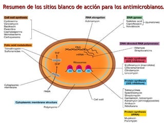 Resumen de los sitios blanco de acción para los antimicrobianos… 