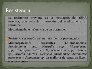  La resistencia proviene de la metilación    del rRNA
  receptor, que evita la   inserción del medicamento al
  ribosoma
 Mecanismo bajo influencia de un plásmido.


 Resistencia es común en en tratamientos prolongados
 Microorganismos        resistentes,       Enterobacterias:
 Pseudomonas      spp.    Nocardia     spp,    Mycoplasma
 spp., Chlamydia psittaci, Mycobacterium spp., Proteus
 sp., Brucella abortus, Klebsiella pneumoniae, Aerobacter
 aerogenes y Salmonella sp. La malloria de cepas de E.coli
 son resistentes
 