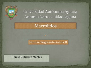 Macrólidos


             Farmacología veterinaria II



Tereso Gutierrez Montes
 