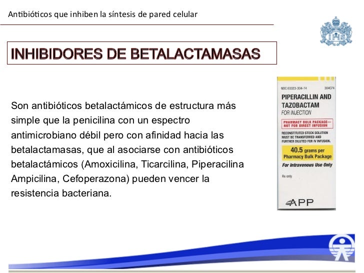 Ampicilina sulbactam mecanismo de accion pdf reader