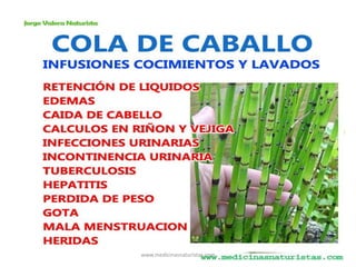 www.medicinasnaturistas.com
 