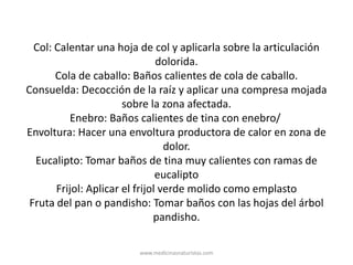 Col: Calentar una hoja de col y aplicarla sobre la articulación
dolorida.
Cola de caballo: Baños calientes de cola de caballo.
Consuelda: Decocción de la raíz y aplicar una compresa mojada
sobre la zona afectada.
Enebro: Baños calientes de tina con enebro/
Envoltura: Hacer una envoltura productora de calor en zona de
dolor.
Eucalipto: Tomar baños de tina muy calientes con ramas de
eucalipto
Frijol: Aplicar el frijol verde molido como emplasto
Fruta del pan o pandisho: Tomar baños con las hojas del árbol
pandisho.
www.medicinasnaturistas.com
 