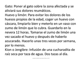 Gato: Poner al gato sobre la zona afectada y se
aliviará sus dolores reumáticos.
Huevo y limón: Para evitar los dolores de los
huesos propios de la edad, coger un huevo con
cáscara, limpiarlo bien y meterlo en un vaso con
zumo de limón que lo cubra. Guardarlo en la
nevera 12 horas. Tomarse el zumo de limón una
vez sacado el huevo y después de haberlo
azucarado. Hacerlo unas tres veces por semana,
por lo menos.
Kion o Jengibre: Infusión de una cucharadita de
raíz seca por taza de agua. Dos tazas al día.
www.medicinasnaturistas.com
 