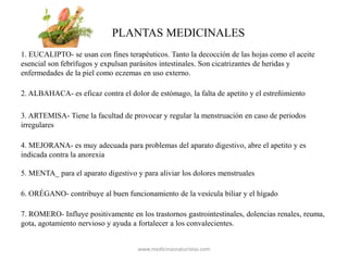 PLANTAS MEDICINALES
1. EUCALIPTO- se usan con fines terapéuticos. Tanto la decocción de las hojas como el aceite
esencial son febrífugos y expulsan parásitos intestinales. Son cicatrizantes de heridas y
enfermedades de la piel como eczemas en uso externo.
2. ALBAHACA- es eficaz contra el dolor de estómago, la falta de apetito y el estreñimiento
3. ARTEMISA- Tiene la facultad de provocar y regular la menstruación en caso de periodos
irregulares
4. MEJORANA- es muy adecuada para problemas del aparato digestivo, abre el apetito y es
indicada contra la anorexia
5. MENTA_ para el aparato digestivo y para aliviar los dolores menstruales
6. ORÉGANO- contribuye al buen funcionamiento de la vesícula biliar y el hígado
7. ROMERO- Influye positivamente en los trastornos gastrointestinales, dolencias renales, reuma,
gota, agotamiento nervioso y ayuda a fortalecer a los convalecientes.
www.medicinasnaturistas.com
 