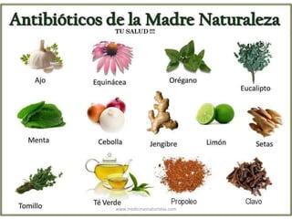 www.medicinasnaturistas.com
 