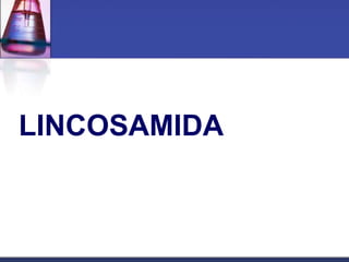 LINCOSAMIDA
 