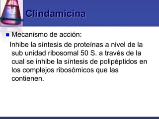 Clindamicina

Mecanismo de acción:
Inhibe la síntesis de proteínas a nivel de la
 sub unidad ribosomal 50 S. a través de la
 cual se inhibe la síntesis de polipéptidos en
 los complejos ribosómicos que las
 contienen.
 