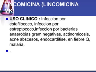 LINCOMICINA (LINCOMICINA
MK)
USO CLINICO : Infeccion por
 estafilococo, infeccion por
 estreptococo,infeccion por bacterias
 anaerobias gram negativas, actinomicosis,
 acne abscesos, endocarditise, en fiebre Q,
 malaria.
.
 
