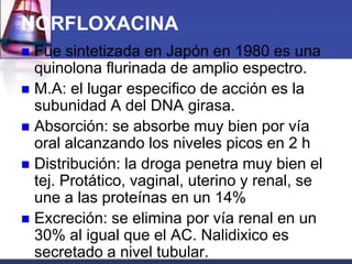 NORFLOXACINA
 Fue sintetizada en Japón en 1980 es una
  quinolona flurinada de amplio espectro.
 M.A: el lugar especifico de acción es la
  subunidad A del DNA girasa.
 Absorción: se absorbe muy bien por vía
  oral alcanzando los niveles picos en 2 h
 Distribución: la droga penetra muy bien el
  tej. Protático, vaginal, uterino y renal, se
  une a las proteínas en un 14%
 Excreción: se elimina por vía renal en un
  30% al igual que el AC. Nalidixico es
  secretado a nivel tubular.
 