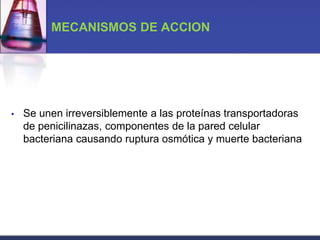 MECANISMOS DE ACCION




•   Se unen irreversiblemente a las proteínas transportadoras
    de penicilinazas, componentes de la pared celular
    bacteriana causando ruptura osmótica y muerte bacteriana
 