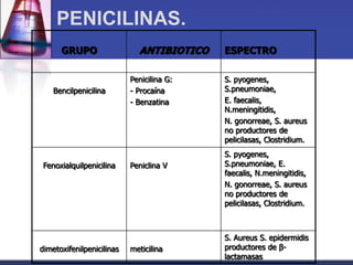 PENICILINAS.
      GRUPO                  ANTIBIOTICO   ESPECTRO

                           Penicilina G:   S. pyogenes,
    Bencilpenicilina       - Procaína      S.pneumoniae,
                           - Benzatina     E. faecalis,
                                           N.meningitidis,
                                           N. gonorreae, S. aureus
                                           no productores de
                                           pelicilasas, Clostridium.
                                           S. pyogenes,
 Fenoxialquilpenicilina    Peniclina V     S.pneumoniae, E.
                                           faecalis, N.meningitidis,
                                           N. gonorreae, S. aureus
                                           no productores de
                                           pelicilasas, Clostridium.



                                           S. Aureus S. epidermidis
dimetoxifenilpenicilinas   meticilina      productores de β-
                                           lactamasas
 