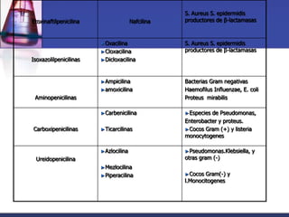 S. Aureus S. epidermidis
Etoxinaftilpenicilina                 Nafcilina   productores de β-lactamasas



                        ►Oxacilina                S. Aureus S. epidermidis
                        ►Cloxacilina              productores de β-lactamasas
Isoxazolilpenicilinas   ►Dicloxacilina



                        ►Ampicilina               Bacterias Gram negativas
                        ►amoxicilina              Haemofilus Influenzae, E. coli
 Aminopenicilinas                                 Proteus mirabilis

                        ►Carbenicilina            ►Especies de Pseudomonas,
                                                  Enterobacter y proteus.
Carboxipenicilinas      ►Ticarcilinas             ►Cocos Gram (+) y listeria
                                                  monocytogenes

                        ►Azlocilina               ►Pseudomonas.Klebsiella,   y
 Ureidopenicilina                                 otras gram (-)
                        ►Mezlocilina
                        ►Piperacilina             ►Cocos  Gram(-) y
                                                  l.Monocitogenes
 