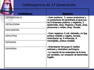 Cefalosporina de 1ª Generación

             Antibióticos                      Espectro
CEFADROXILO                   Gram   positivos: S. aureus productores y
                              no productores de penicilinasa al igual que
                              los B lactamasa positivos y negativos, S.
CEFALEXINA                    epidermidis, strep. Piogenes y fecalis, strep.
                              pneumonia y viridan, strep. Feccalis.
CEFALORIDINA
                              Gram  negativos: E coli, klebsiella y la Spp,
CEFALOTINA                    proteus mirabilis y vulgaris, serratia,
                              enterobacter sp, H influenzae, N
                              meningitidis, proteus mirabilis.
CEFRADINA

                              Enterobacter   del grupo D: basillys
CEFAPIRINA                    anthracis y clostridium perfringens.
                              La mayoría de los anaerobios de la boca
                              son sensibles, con excepción de Bacteroides
                              fragillis.
 
