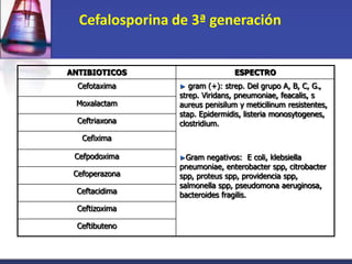 Cefalosporina de 3ª generación


ANTIBIOTICOS                    ESPECTRO
  Cefotaxima    ►  gram (+): strep. Del grupo A, B, C, G.,
                strep. Viridans, pneumoniae, feacalis, s
 Moxalactam     aureus penisilum y meticilinum resistentes,
                stap. Epidermidis, listeria monosytogenes,
  Ceftriaxona   clostridium.
   Cefixima

 Cefpodoxima    ►Gram   negativos: E coli, klebsiella
                pneumoniae, enterobacter spp, citrobacter
 Cefoperazona   spp, proteus spp, providencia spp,
                salmonella spp, pseudomona aeruginosa,
 Ceftacidima    bacteroides fragilis.
  Ceftizoxima

  Ceftibuteno
 